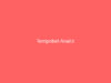 Tempobet Analiz
