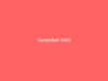 Tempobet DNS